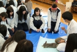 写真４枚