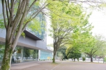 写真４枚②