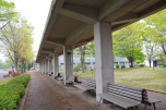 写真４枚②