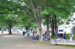 写真4枚③