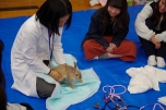 写真４枚②