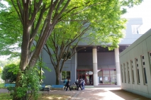 写真３点