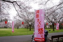 写真３枚