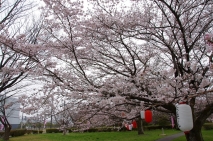 写真３枚2