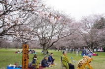 写真３枚3