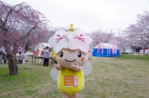 写真３枚3