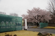 写真3枚