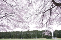 写真3枚4段目