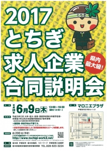 チラシ表裏と記事