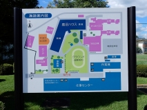 写真3点