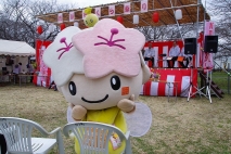 写真3枚①