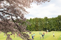 桜練習風景３枚