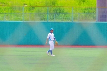 写真3枚②