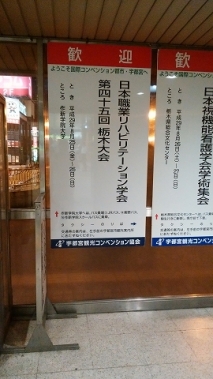 写真1点