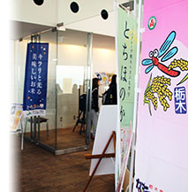 左本文＋右画像