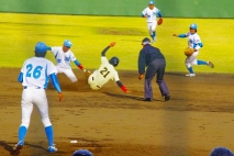 写真3枚③