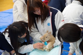 写真２枚と本文