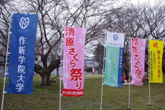 写真2枚と本文