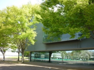 写真2枚
