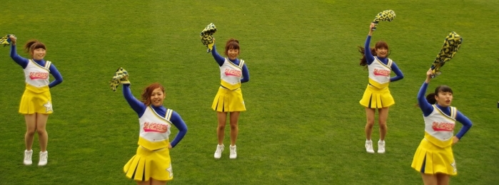 写真1枚と本文
